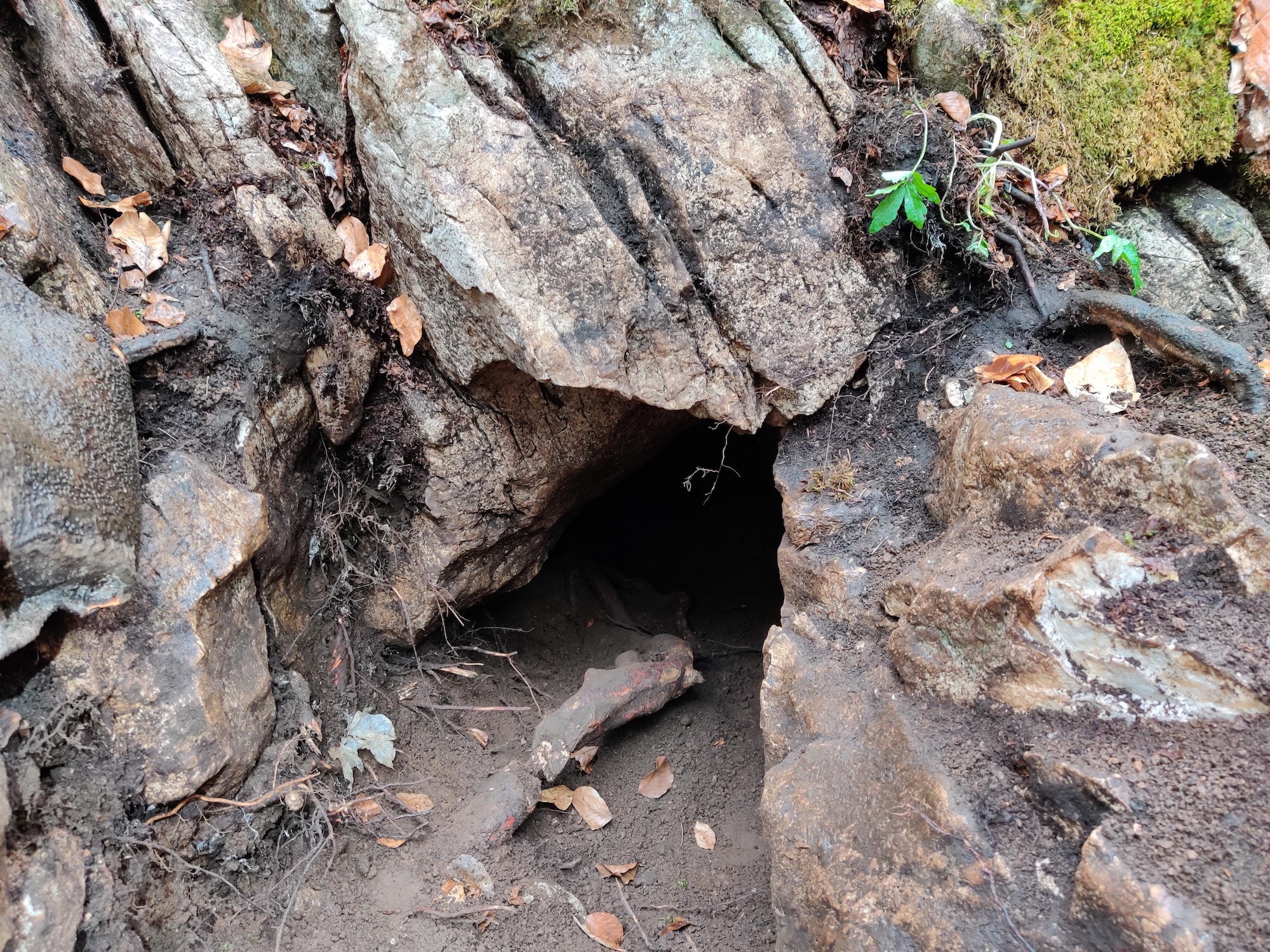 Peștera Rugăciune - Image 1